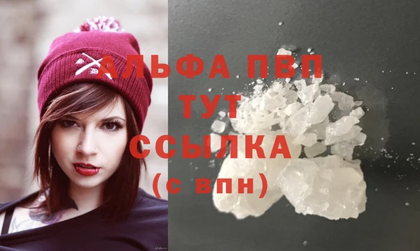 дмт Бородино
