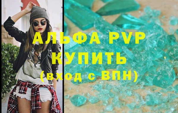 трава Белокуриха