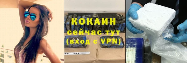 трава Белокуриха
