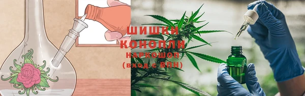 дмт Бородино