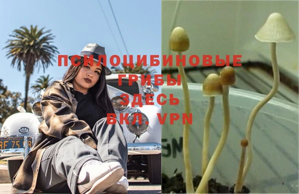 соль курить ск Балабаново