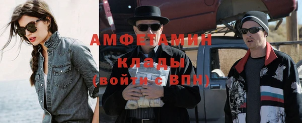 дмт Бородино