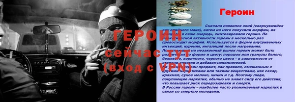 трава Белокуриха