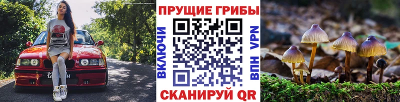 Галлюциногенные грибы прущие грибы  цены наркотик  Кадников 